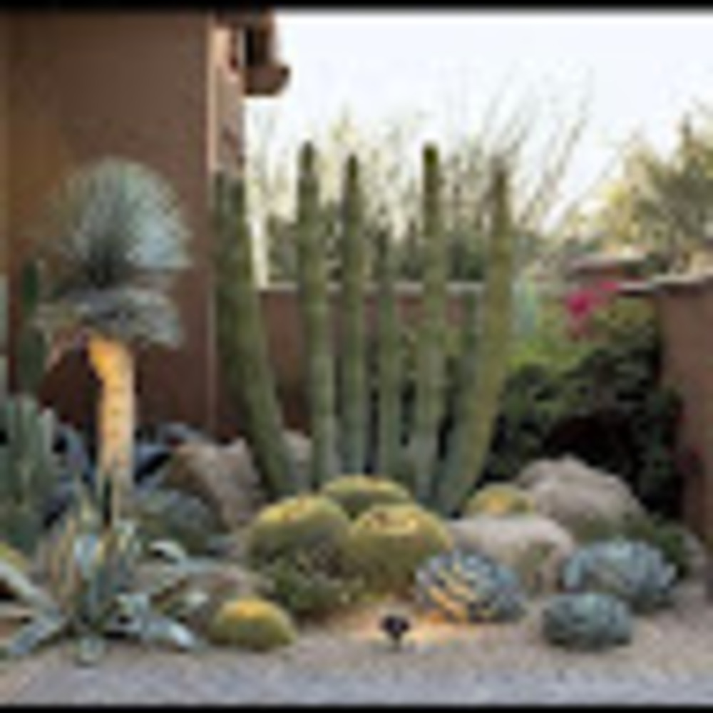 Meet your Posher, Lawrence